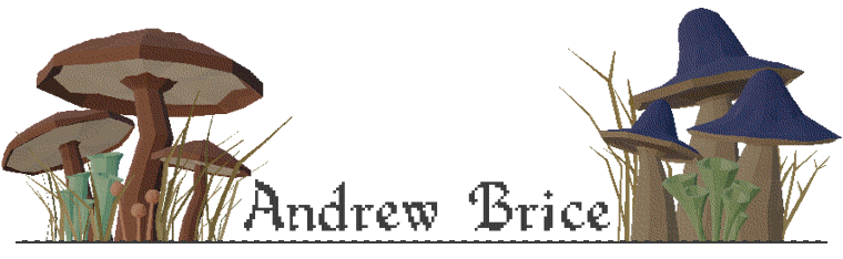 Andrew Brice