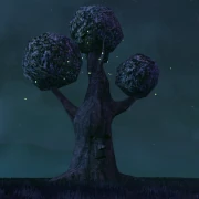 Spirit Tree Night